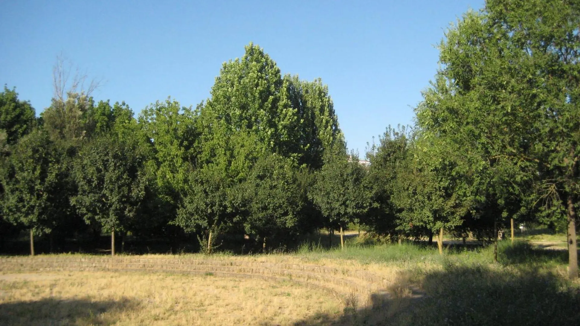 Appartamento La Casa Di Emy Roma